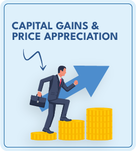 Capital Gains and Price Appreciation